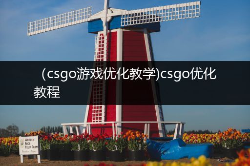 （csgo游戏优化教学)csgo优化教程