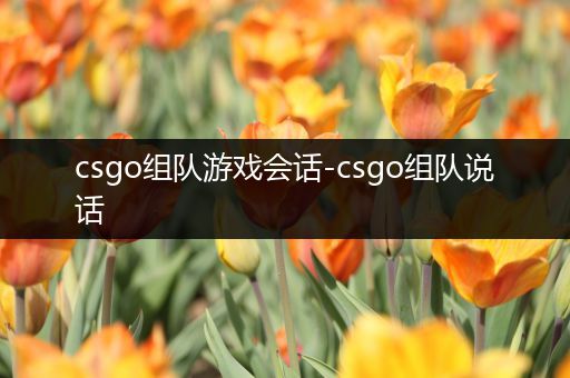 csgo组队游戏会话-csgo组队说话