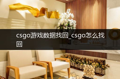 csgo游戏数据找回_csgo怎么找回