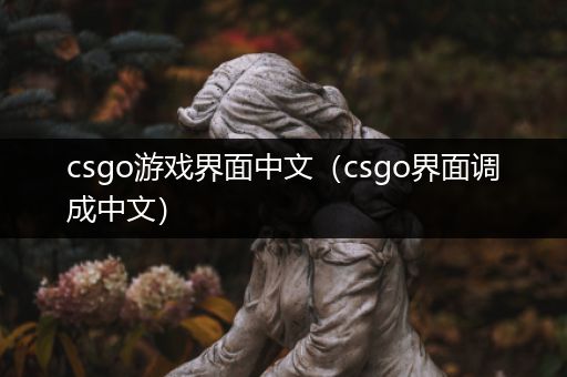 csgo游戏界面中文（csgo界面调成中文）