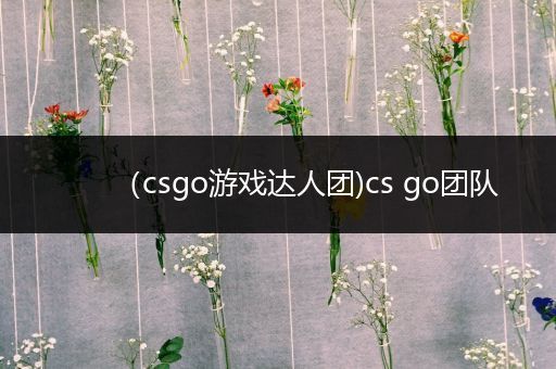 （csgo游戏达人团)cs go团队