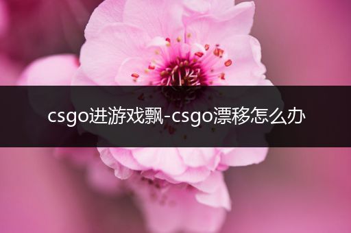 csgo进游戏飘-csgo漂移怎么办