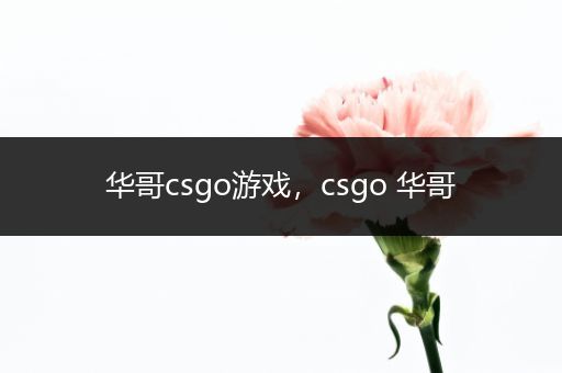 华哥csgo游戏，csgo 华哥