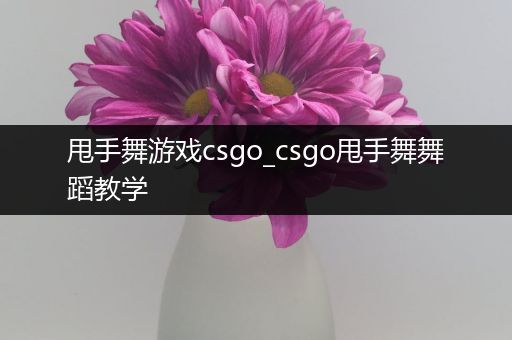 甩手舞游戏csgo_csgo甩手舞舞蹈教学