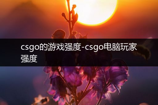 csgo的游戏强度-csgo电脑玩家强度