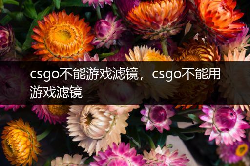 csgo不能游戏滤镜，csgo不能用游戏滤镜