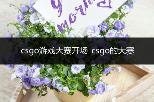 csgo游戏大赛开场-csgo的大赛