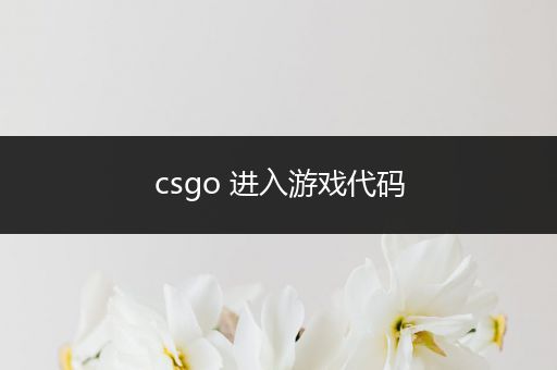 csgo 进入游戏代码