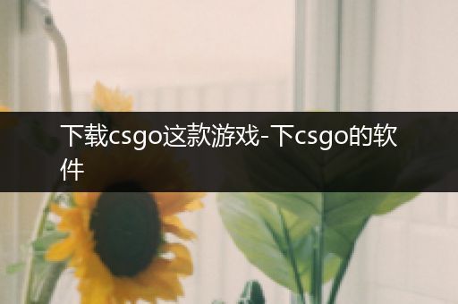 下载csgo这款游戏-下csgo的软件