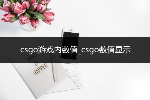 csgo游戏内数值_csgo数值显示