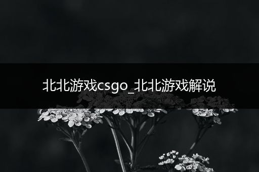 北北游戏csgo_北北游戏解说