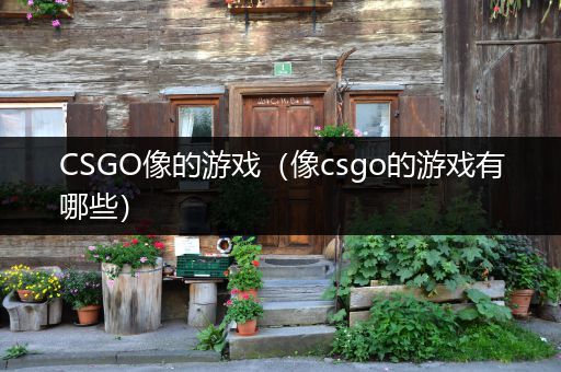 CSGO像的游戏（像csgo的游戏有哪些）