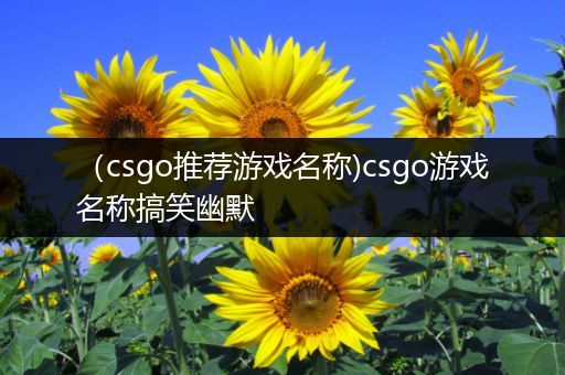 （csgo推荐游戏名称)csgo游戏名称搞笑幽默