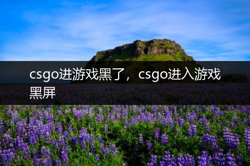 csgo进游戏黑了，csgo进入游戏黑屏