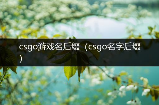 csgo游戏名后缀（csgo名字后缀）