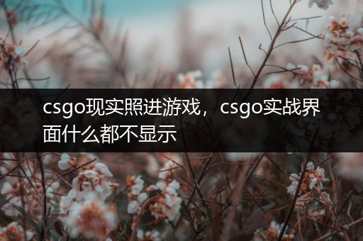 csgo现实照进游戏，csgo实战界面什么都不显示