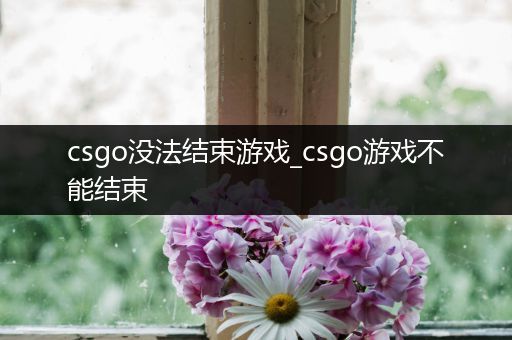 csgo没法结束游戏_csgo游戏不能结束