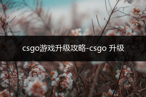 csgo游戏升级攻略-csgo 升级