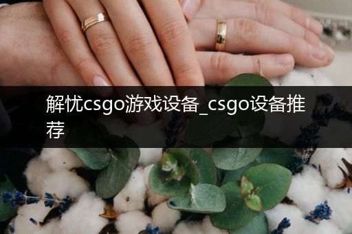 解忧csgo游戏设备_csgo设备推荐