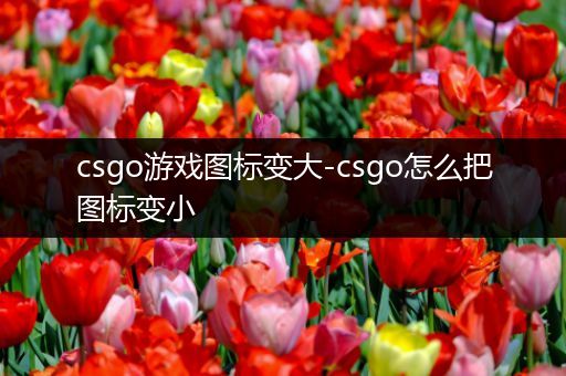 csgo游戏图标变大-csgo怎么把图标变小