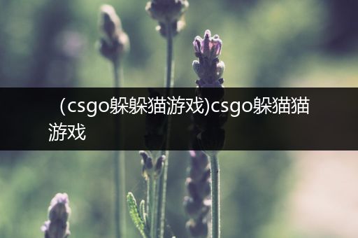 （csgo躲躲猫游戏)csgo躲猫猫游戏
