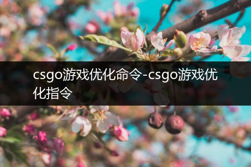 csgo游戏优化命令-csgo游戏优化指令