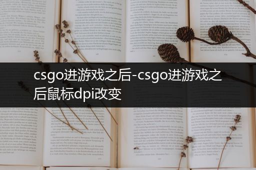 csgo进游戏之后-csgo进游戏之后鼠标dpi改变