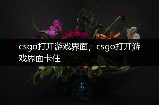 csgo打开游戏界面，csgo打开游戏界面卡住