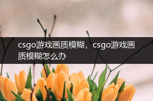 csgo游戏画质模糊，csgo游戏画质模糊怎么办