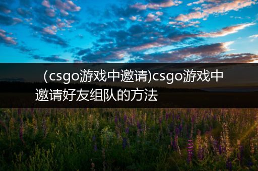 （csgo游戏中邀请)csgo游戏中邀请好友组队的方法