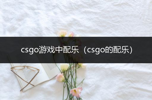 csgo游戏中配乐（csgo的配乐）