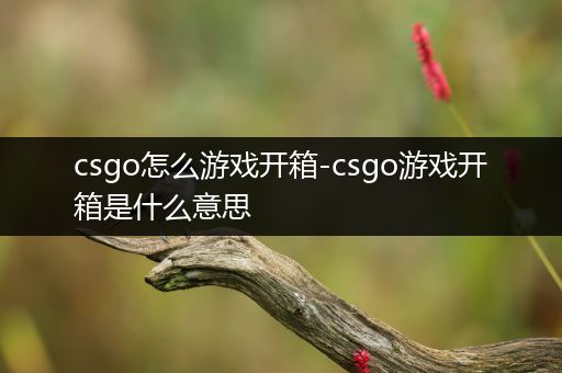 csgo怎么游戏开箱-csgo游戏开箱是什么意思