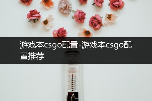 游戏本csgo配置-游戏本csgo配置推荐