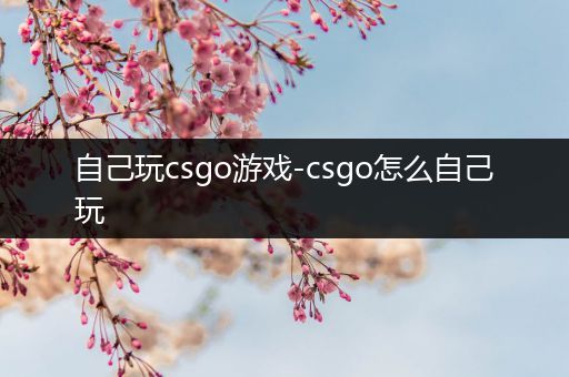 自己玩csgo游戏-csgo怎么自己玩