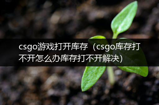 csgo游戏打开库存（csgo库存打不开怎么办库存打不开解决）