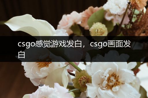 csgo感觉游戏发白，csgo画面发白