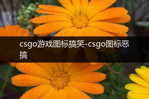 csgo游戏图标搞笑-csgo图标恶搞