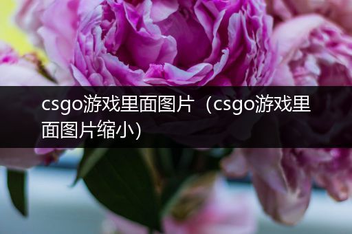 csgo游戏里面图片（csgo游戏里面图片缩小）