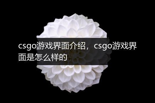 csgo游戏界面介绍，csgo游戏界面是怎么样的