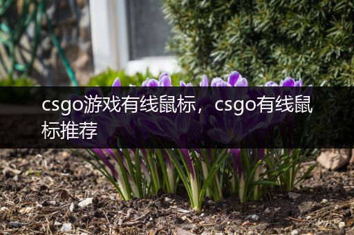 csgo游戏有线鼠标，csgo有线鼠标推荐