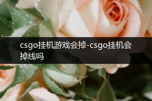 csgo挂机游戏会掉-csgo挂机会掉线吗