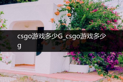 csgo游戏多少G_csgo游戏多少g