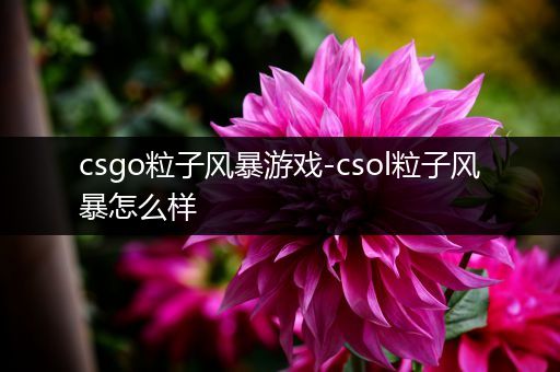 csgo粒子风暴游戏-csol粒子风暴怎么样
