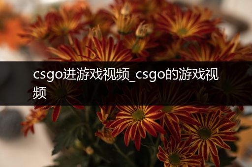 csgo进游戏视频_csgo的游戏视频