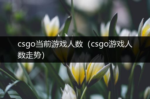 csgo当前游戏人数（csgo游戏人数走势）