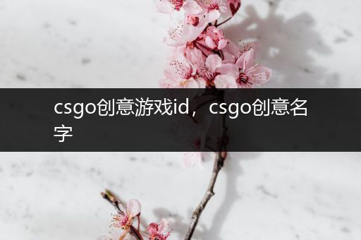 csgo创意游戏id，csgo创意名字