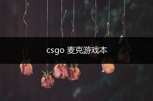 csgo 麦克游戏本