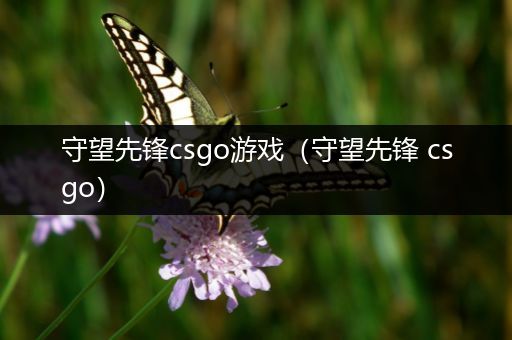 守望先锋csgo游戏（守望先锋 csgo）