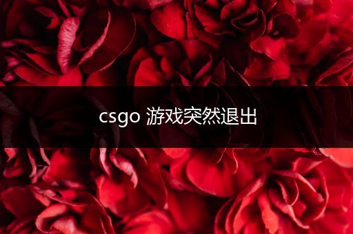 csgo 游戏突然退出