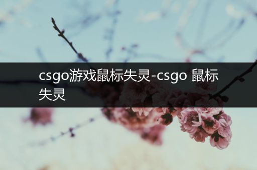 csgo游戏鼠标失灵-csgo 鼠标失灵